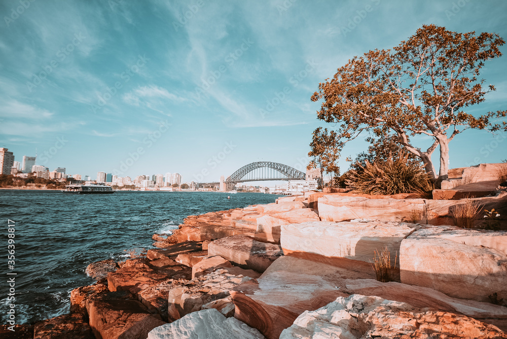 Fototapeta premium Barangaroo Reserve in Sydney, Australia, one of the most iconic places to do activities outdoor and have sea views in the heart of the city.