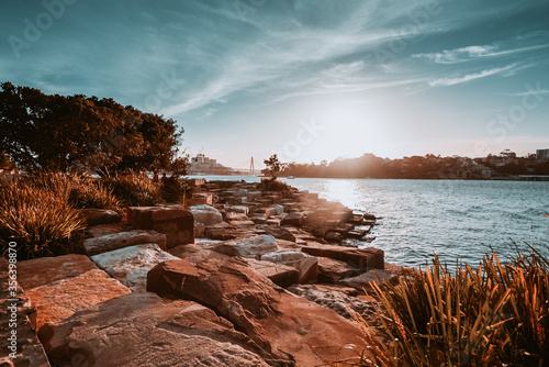 Canvas Print Barangaroo Reserve in Sydney, Australia, one of the most iconic places to do activities outdoor and have sea views in the heart of the city