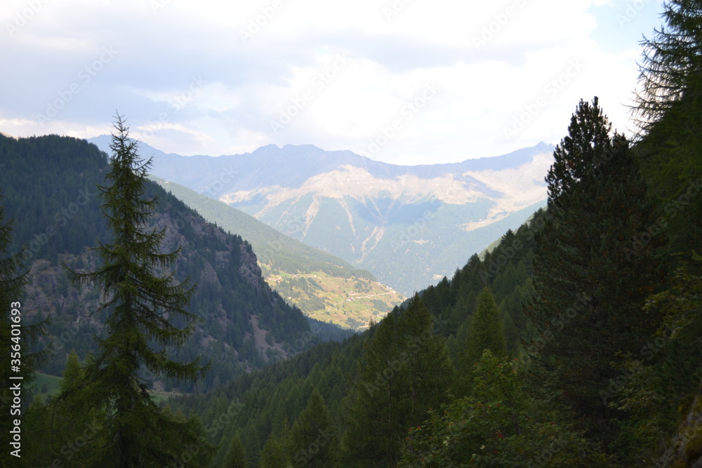 Obraz premium view from the top