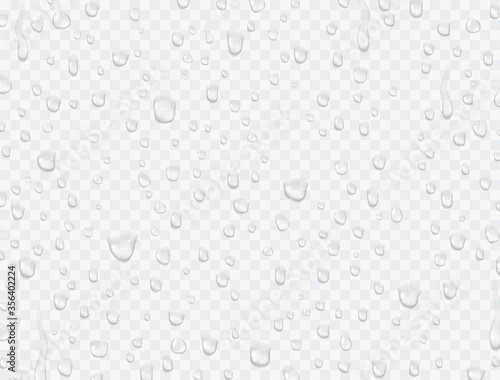 Water rain drops or steam shower texture isolated on transparent background. Vector pure droplets on window glass surface pattern