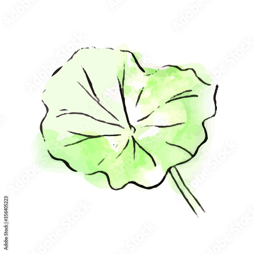 手描きイラスト：蓮の葉