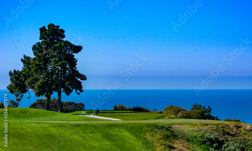 Photography Torrey Pines Golf Couse in San Diego California