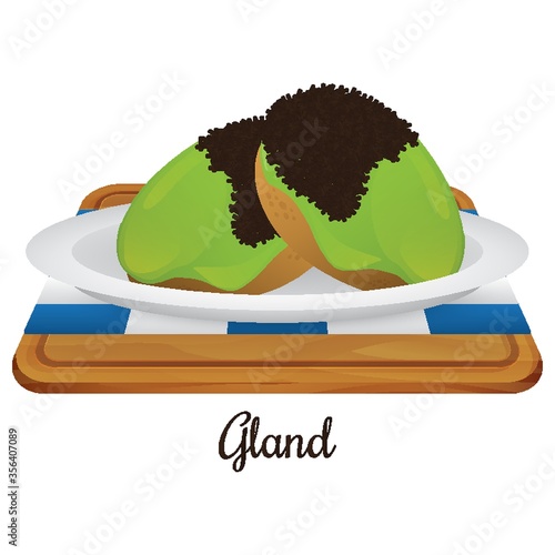 gland