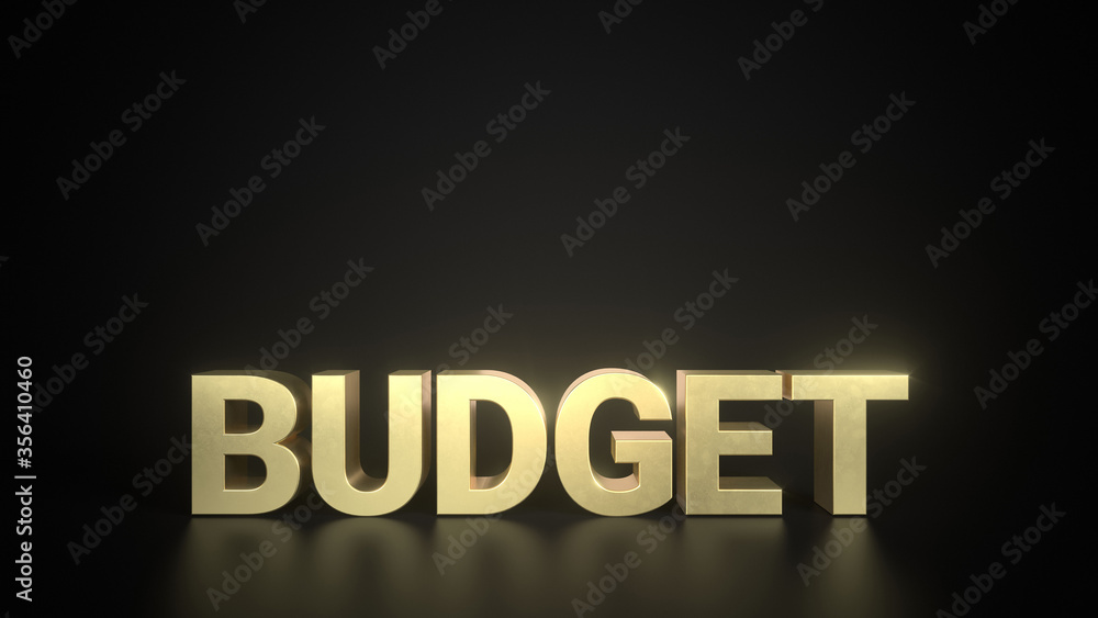 Budget Golden lettering on a reflective floor with black background and space for text. Frontal Perspective. Budget Golden lettering on a reflective floor with black background and space for text. Frontal Perspective.