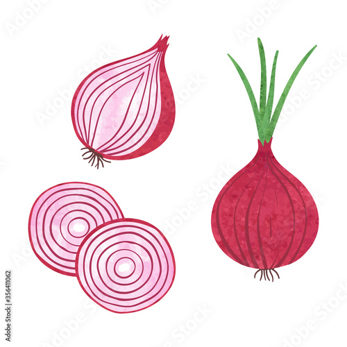 Set of watercolor red onions isolated on white background. Vector illustration of slice and onion rings