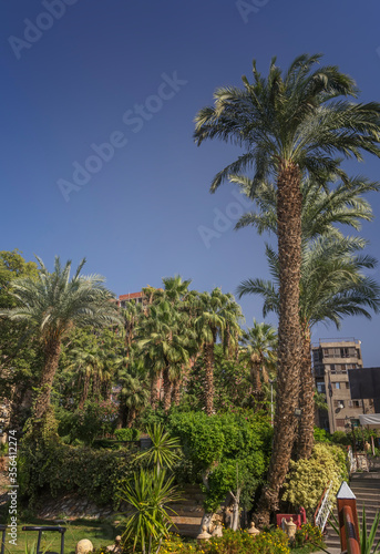Views on the banks of the Nile in Cairo © Gergana