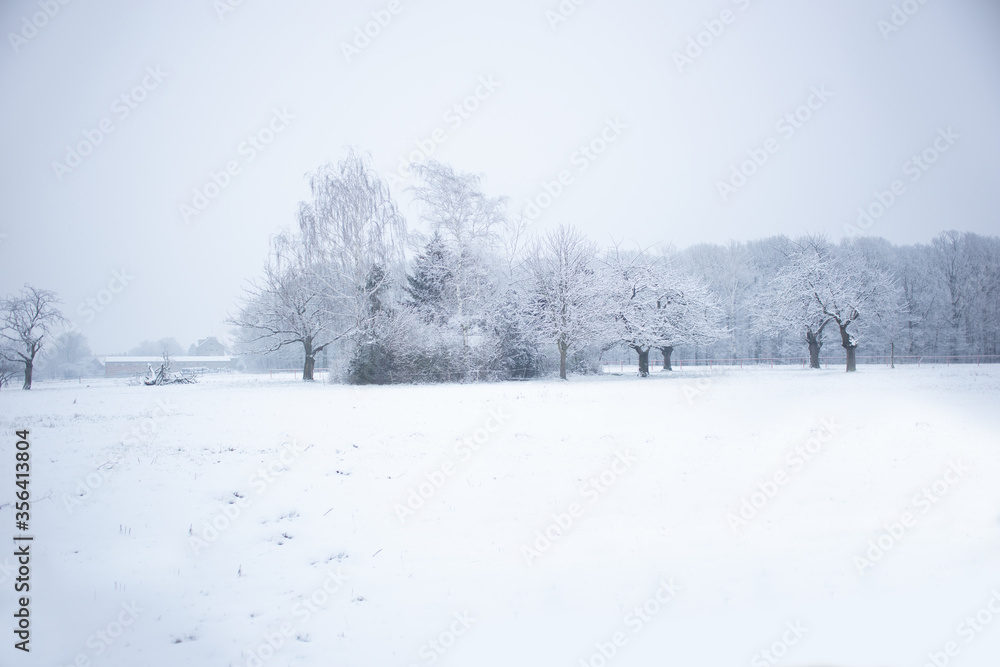 Winter Winter