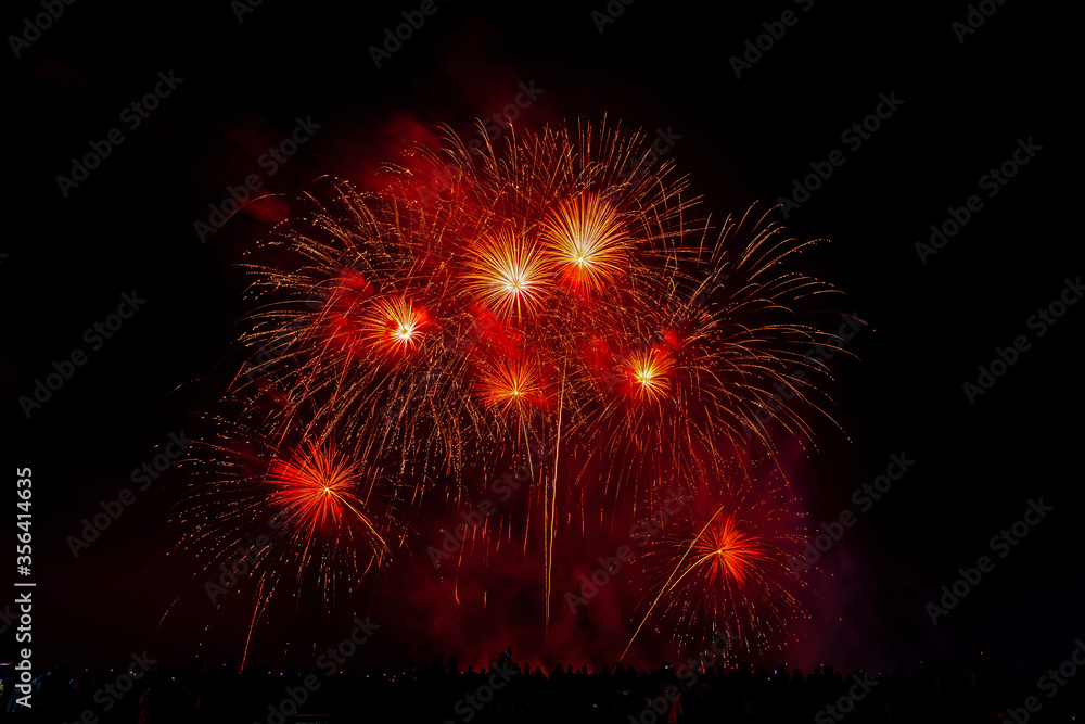 Crowd looks holiday fireworks in dark evening sky. Crowd looks holiday fireworks in dark evening sky.