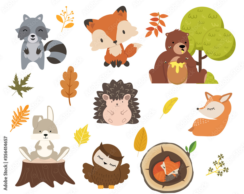 Obraz premium Cute woodland forest animals cartoon character set