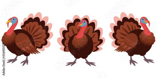 Gobbler in different poses. Farm animal in cartoon style.