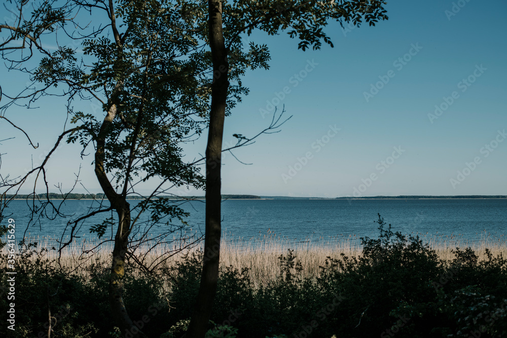 Europe, Germany, Mecklenburg-Vorpommern, Usedom, Luetow, Achterwasser Usedom, Naturschutzgebiet Gnitz Südspitze. Europe, Germany, Mecklenburg-Vorpommern, Usedom, Luetow, Achterwasser Usedom, Naturschutzgebiet Gnitz Südspitze.