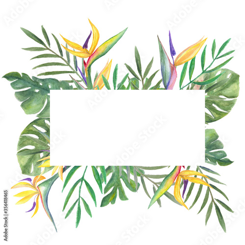 Fototapeta Naklejka Na Ścianę i Meble -  finished template image, framed with green and gold palm leaves, monstera, Strelitzia flowers on a white background, watercolor