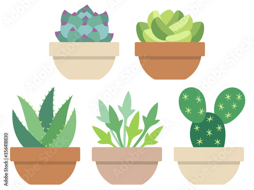 多肉植物の鉢植えイラストセット