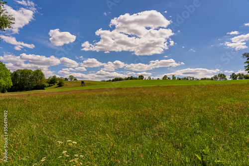 Meadow with grasses and a high seat under a blue sky with clouds and a wide view of the Sauerland  Germany