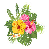 Tropical flowers bouquet. Floral composition with hibiscus, plumeria, palm leaves and monstera. Vector illustration.