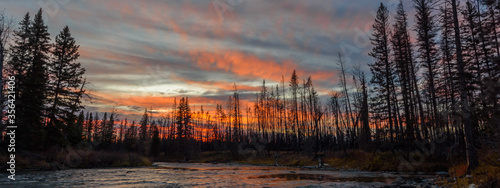 forest sunset over river
