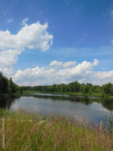 quiet lake and green forest