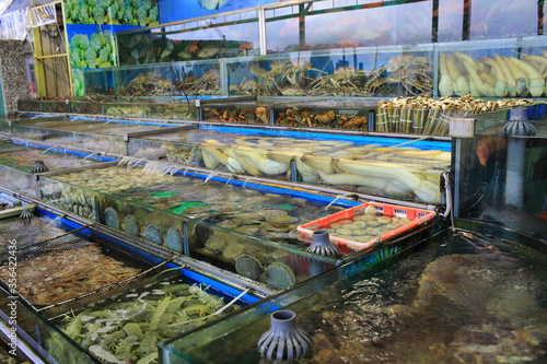 Photography multi seafood in the fish market in china, hong kong Sai Kung