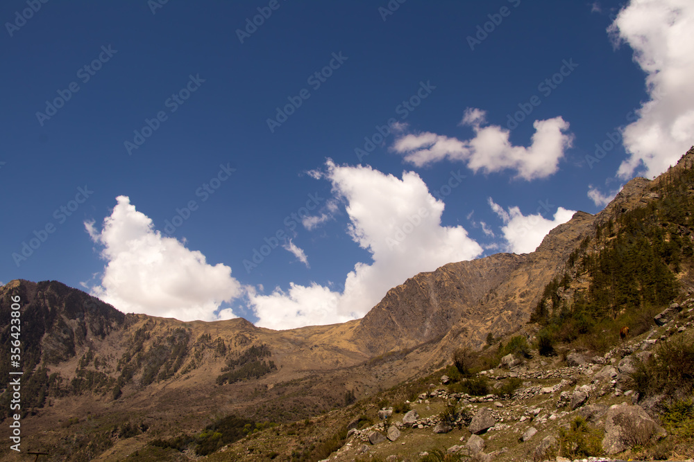 Image of beautiful nature at uttarakhand india Image of beautiful nature at uttarakhand india