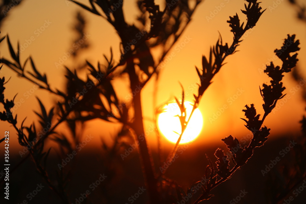 Obraz premium powerful sunset