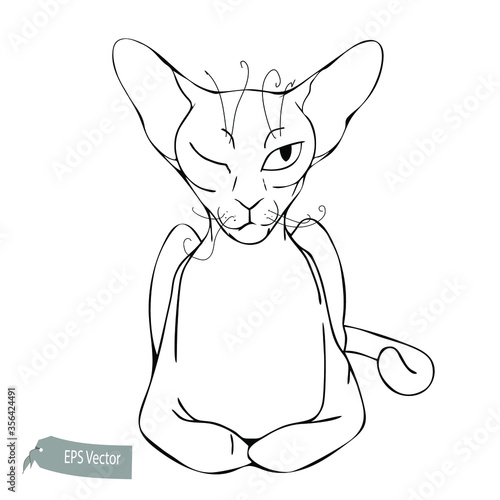 Cat line illustration. Vector. black and white. Ink style illustration. Hand drawn. Sketch 