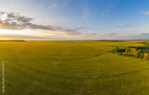 green wheat fields natural landscape aerial view