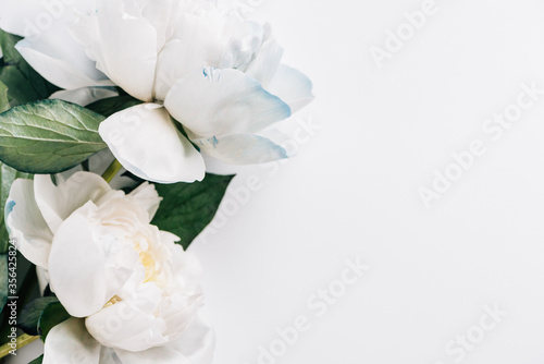 Top view of blue and white peonies with green leaves on white background