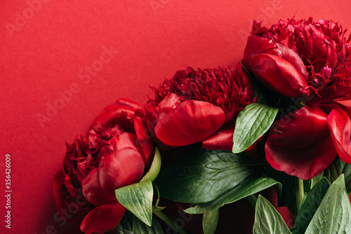 Fototapeta Naklejka Na Ścianę i Meble -  top view of red peonies with green leaves on red background
