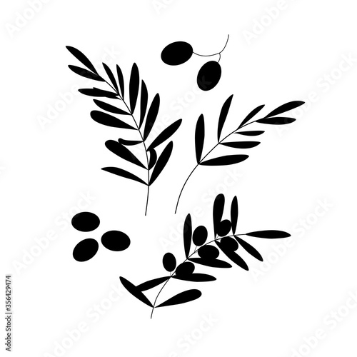 Olive branch on isolated white background vector
