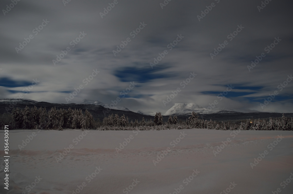 heavy snow covered field with forest and mountain background at night