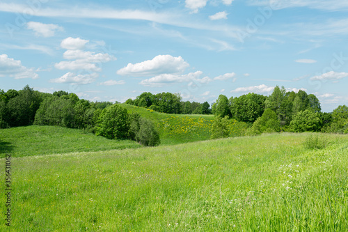 Beautiful green hills of Pskov region, Russia under the sunlight in the early summer.