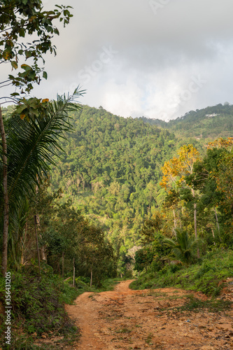 A dirt road among the jungle and mountains. Rural dirt road in the tropical forest in Thailand.