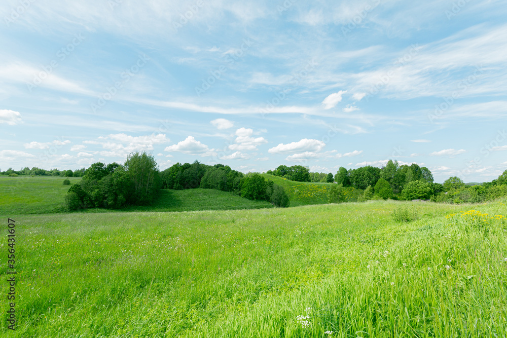 Splendid scenery with green grass fields and blue cloudy sky in the North-West of Russia. Splendid scenery with green grass fields and blue cloudy sky in the North-West of Russia.