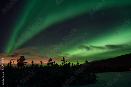 strong dreamy aurora borealis on star filled nigh sky over spruce trees and snowy field