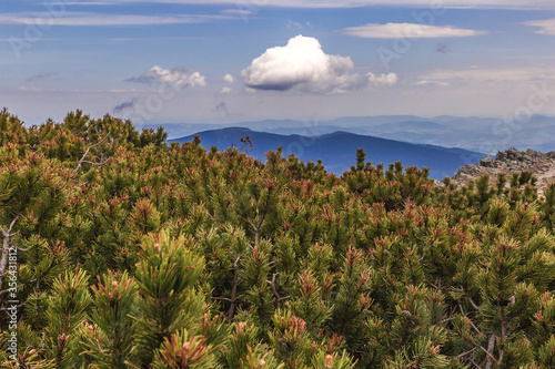 Fototapeta Naklejka Na Ścianę i Meble -  Cloud over the mountains

