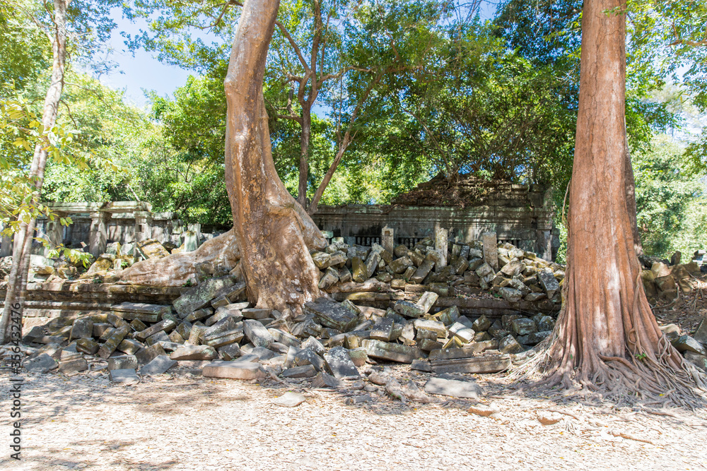 Beng Mealea temple ruins and banyan tree, the Angkor Wat style located east of the main group of temples at Angkor, Siem Reap, Cambodia. Beng Mealea temple ruins and banyan tree, the Angkor Wat style located east of the main group of temples at Angkor, Siem Reap, Cambodia.