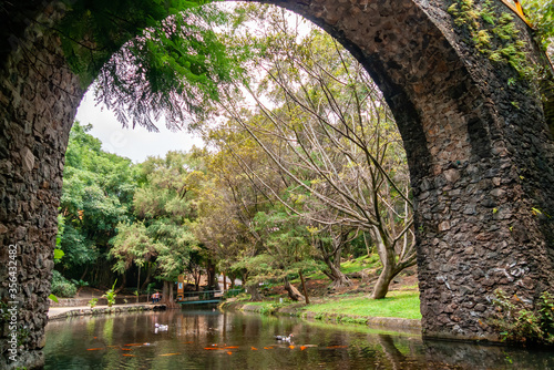 Park with bridge framed the river with ducks and fish in Mexico