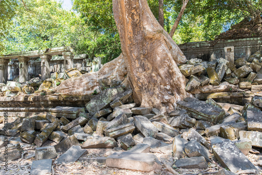 Beng Mealea temple ruins and banyan tree, the Angkor Wat style located east of the main group of temples at Angkor, Siem Reap, Cambodia. Beng Mealea temple ruins and banyan tree, the Angkor Wat style located east of the main group of temples at Angkor, Siem Reap, Cambodia.
