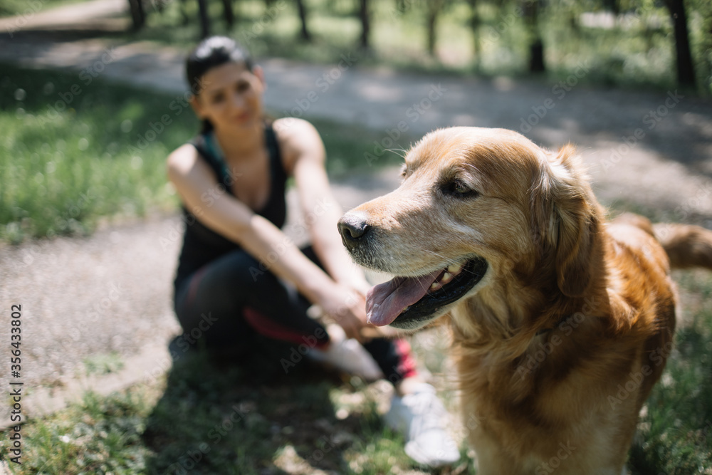 Portrait of dog standing in nature in front of girl. Blurred girl sitting on the ground in forest with her dog which is standing near camera. Portrait of dog standing in nature in front of girl. Blurred girl sitting on the ground in forest with her dog which is standing near camera.