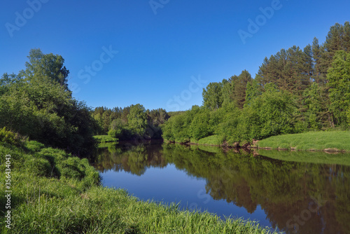 Beautiful summer landscape, forest trees are reflected in calm river water against a background of blue sky.