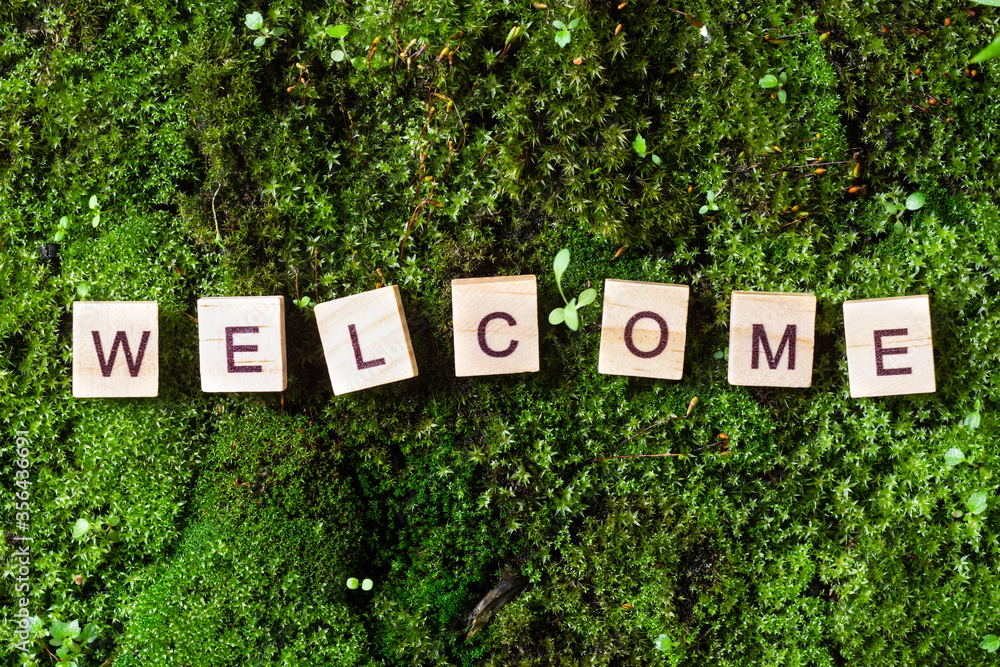 Word welcome. The word welcome is written on a background of moss. The letters on the wooden blocks add up to the word welcome. The view from the top