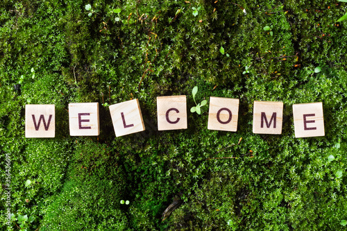 Obraz na płótnie Word welcome. The word welcome is written on a background of moss. The letters on the wooden blocks add up to the word welcome. The view from the top w salonie