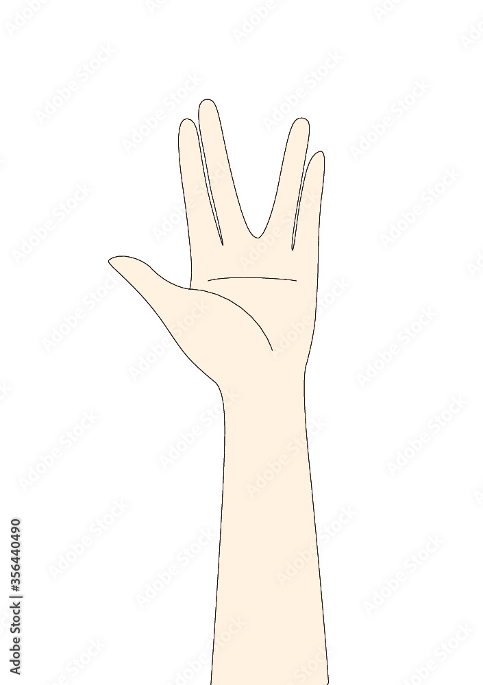 Vector female hand isolated on white background Vector female hand isolated on white background