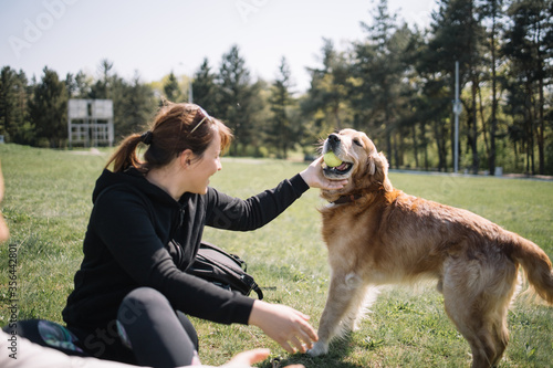 Girl and dog playing with ball in sunny day. Dog with ball standing on grass while young woman is playing with him.