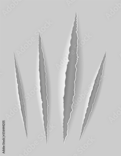 scratch claw cuts paper with transparent shadows for design vector illustration