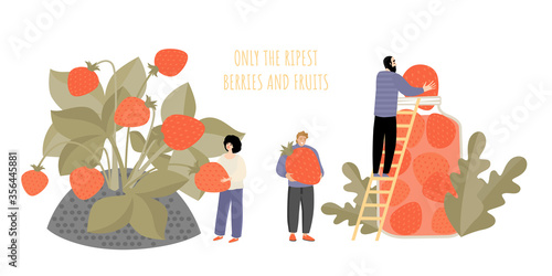 Conceptual image of people cooking jam from huge strawberries. Harvesting and processing ripe berries.