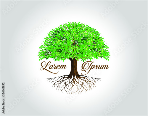 Circle Tree logo design with many leaves and roots