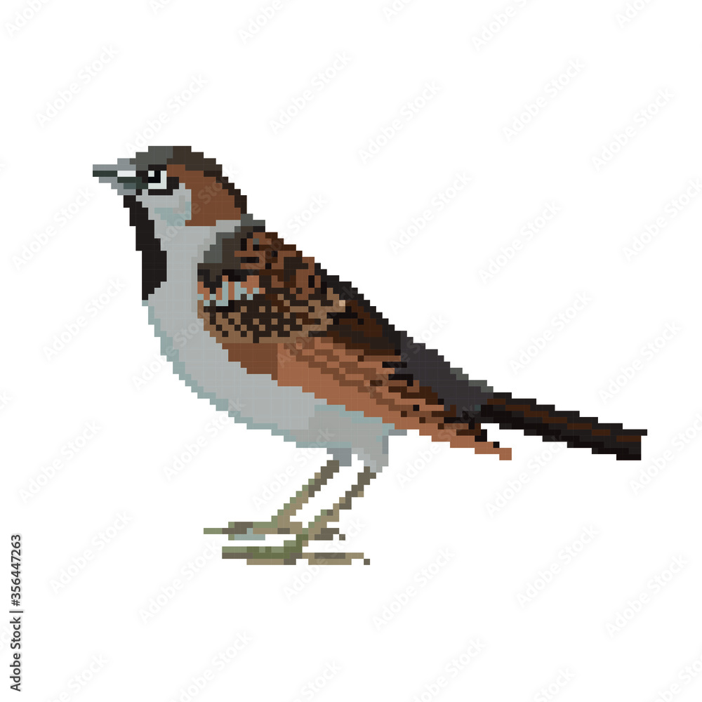 a-rt 思い出し sparrow