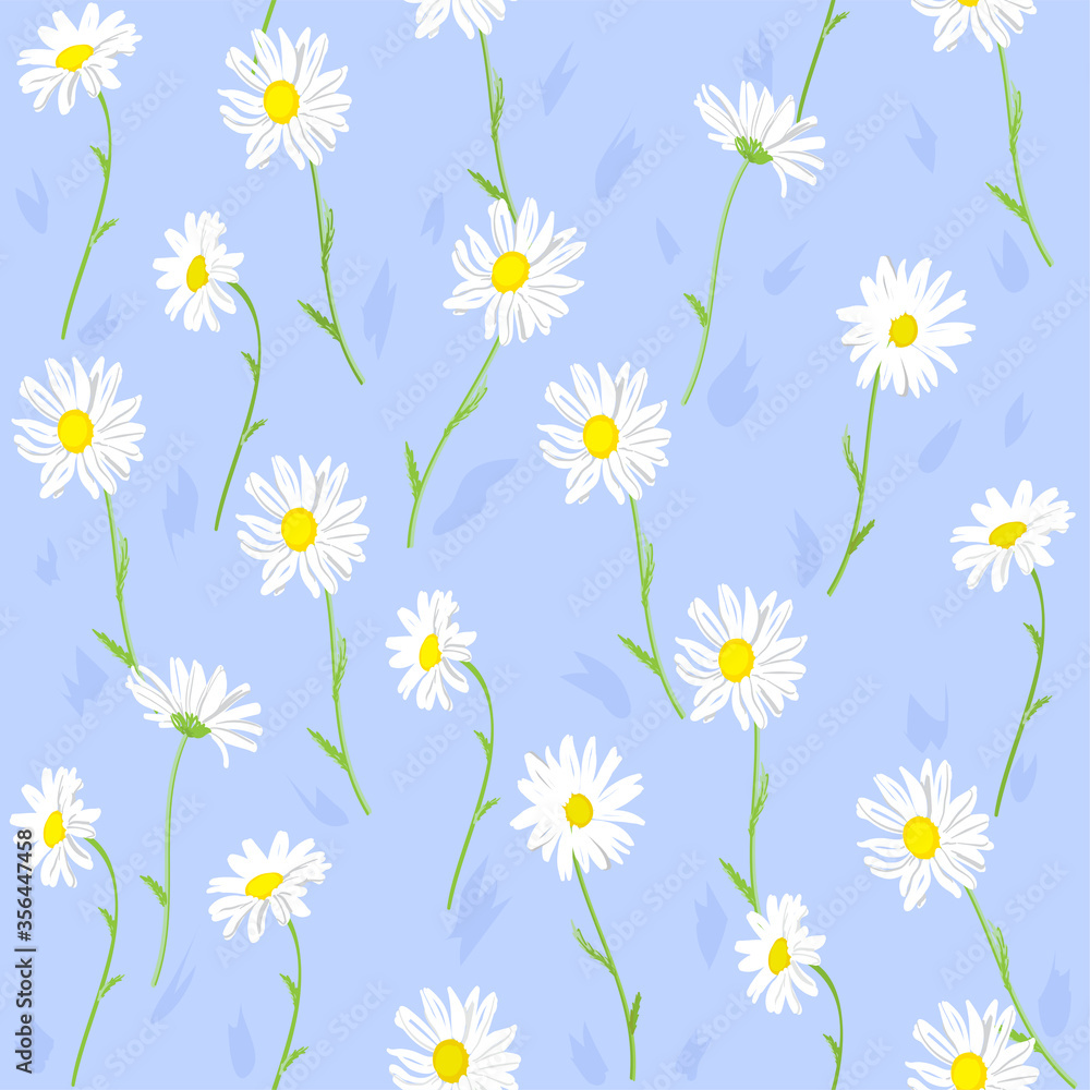 Naklejka White chamomile flowers on blue background, medicinal plant. Hand drawn seamless pattern.