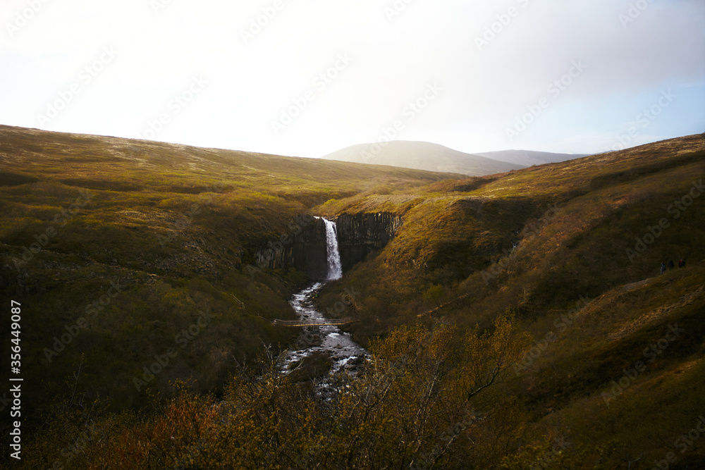 Icelandic landscape and Svartifoss, Black Fall in the middle. Panorama with bridge over the river and waterfall.